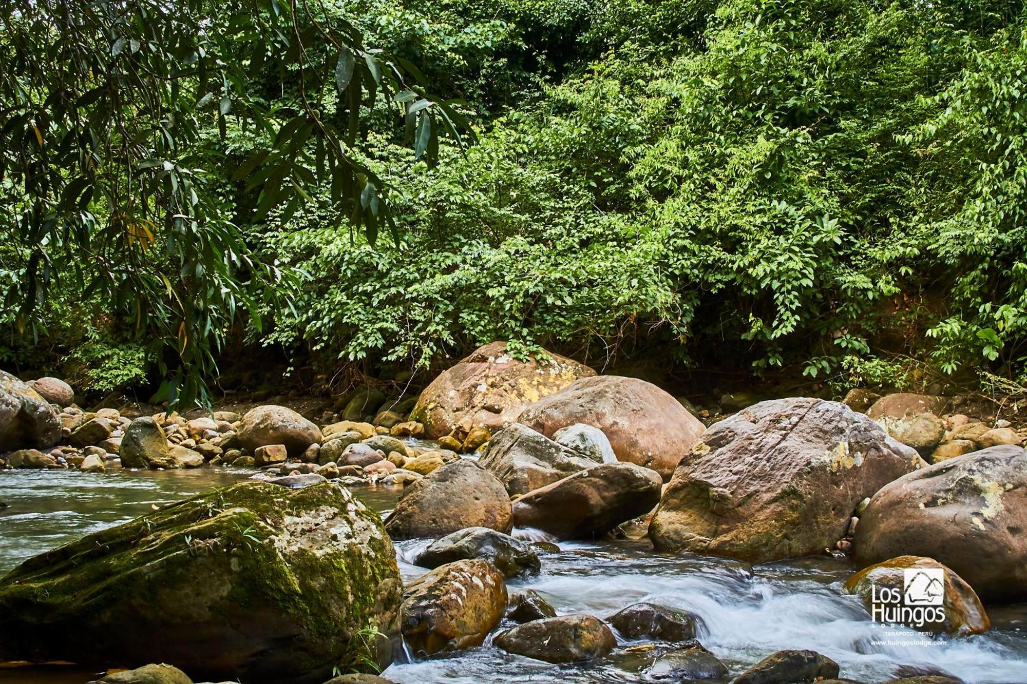 Huingos Eco Lodge Тарапото Екстер'єр фото